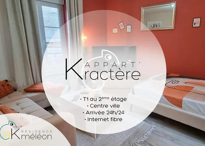 公寓 L'appart K-torze- Rare ! 14 Couchages En Centre Du Mans 勒芒