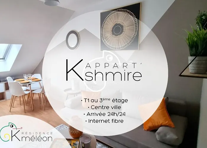 L'appart K-torze- Rare ! 14 Couchages En Centre Du Mans 勒芒