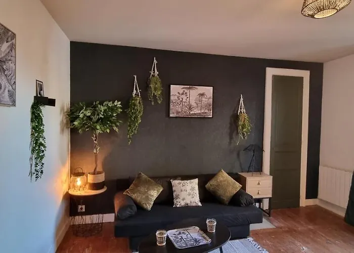 公寓 L'appart K-torze- Rare ! 14 Couchages En Centre Du Mans 勒芒