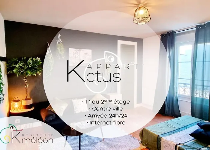 L'appart K-torze- Rare ! 14 Couchages En Centre Du Mans 公寓 勒芒